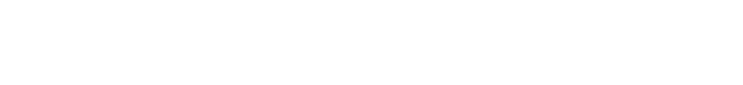Lee Media Group
