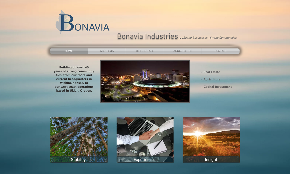 Bonavia Properties Old Website